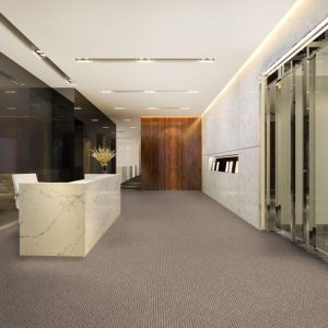 Light Grey Wall to Wall Carpet
