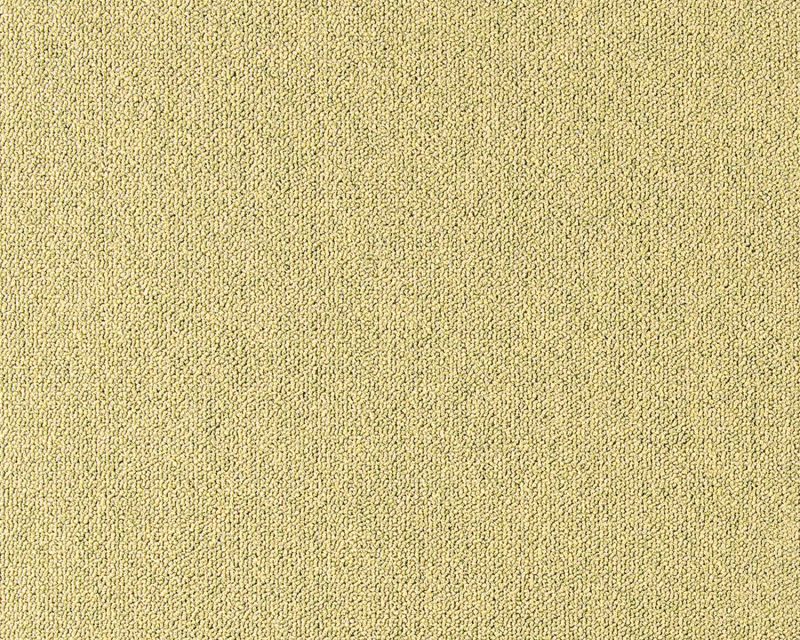 Commercial Nylon Loop Pile Carpet – Green Thickness (mm) 5.5