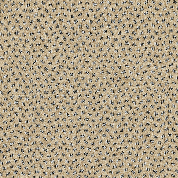 Commercial Polypropylene Cut Pile Carpet – Beige Thickness (mm) 5.5