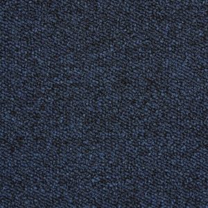 Durable Nylon Loop Pile Carpet – Blue Thickness (mm) 5.5