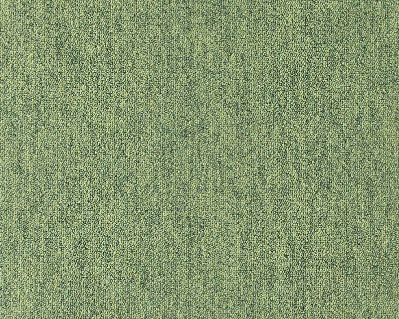 Durable Nylon Loop Pile Carpet – Green Thickness (mm) 5.5