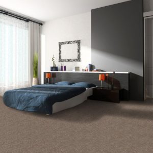 Fresh Grey Wall to Wall Carpet