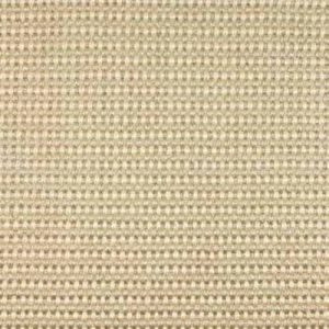 Light Beige Carpet