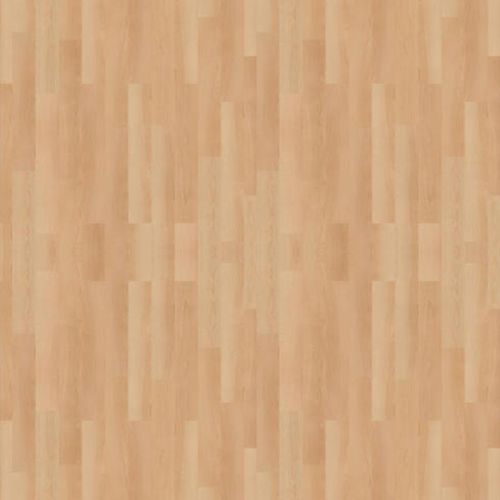 Maple