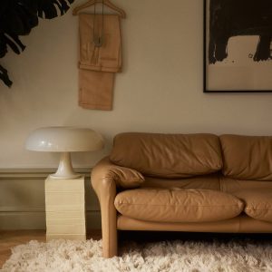 Oatmeal Shaggy Rugs
