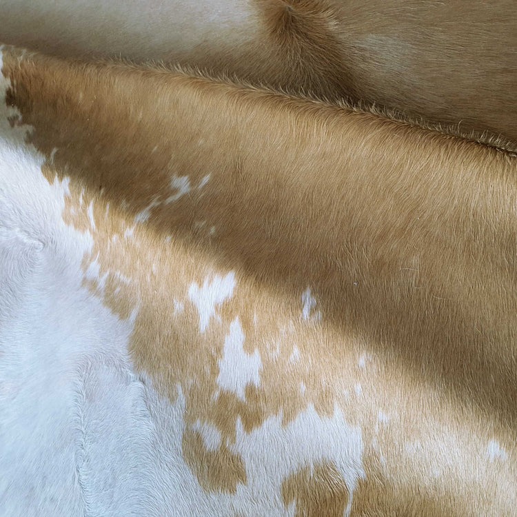 Palomino and White Brazilian Cowhide Rug XXL - Image 2