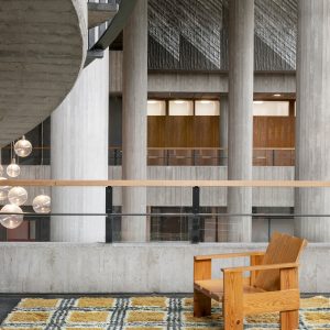 Pergola Shaggy Rugs